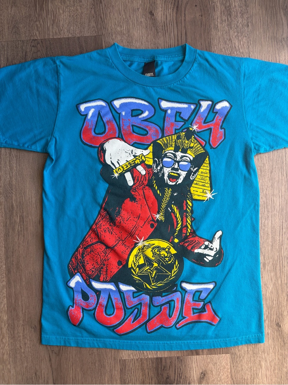 Vintage Obey Teal Tee